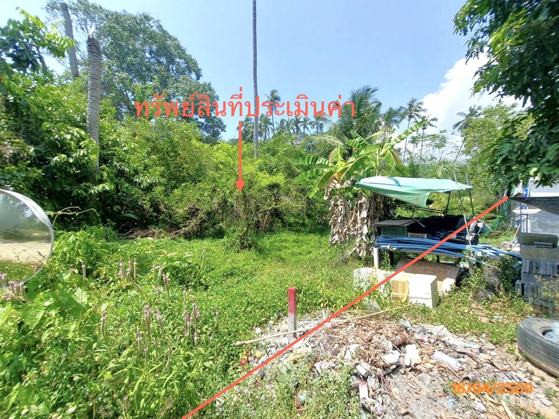 picture LAND 1708 Sq.w. Ko Samui Surat Thani for 12.7M - 8/15