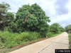 listing thumbnail image 18