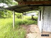 listing thumbnail image 29
