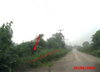 listing thumbnail image 7