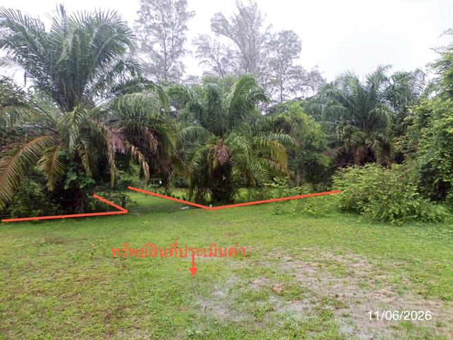 picture LAND 1463.3 Sq.w. Palian Trang for 2.9M - 7/21