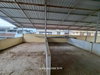 listing thumbnail image 36