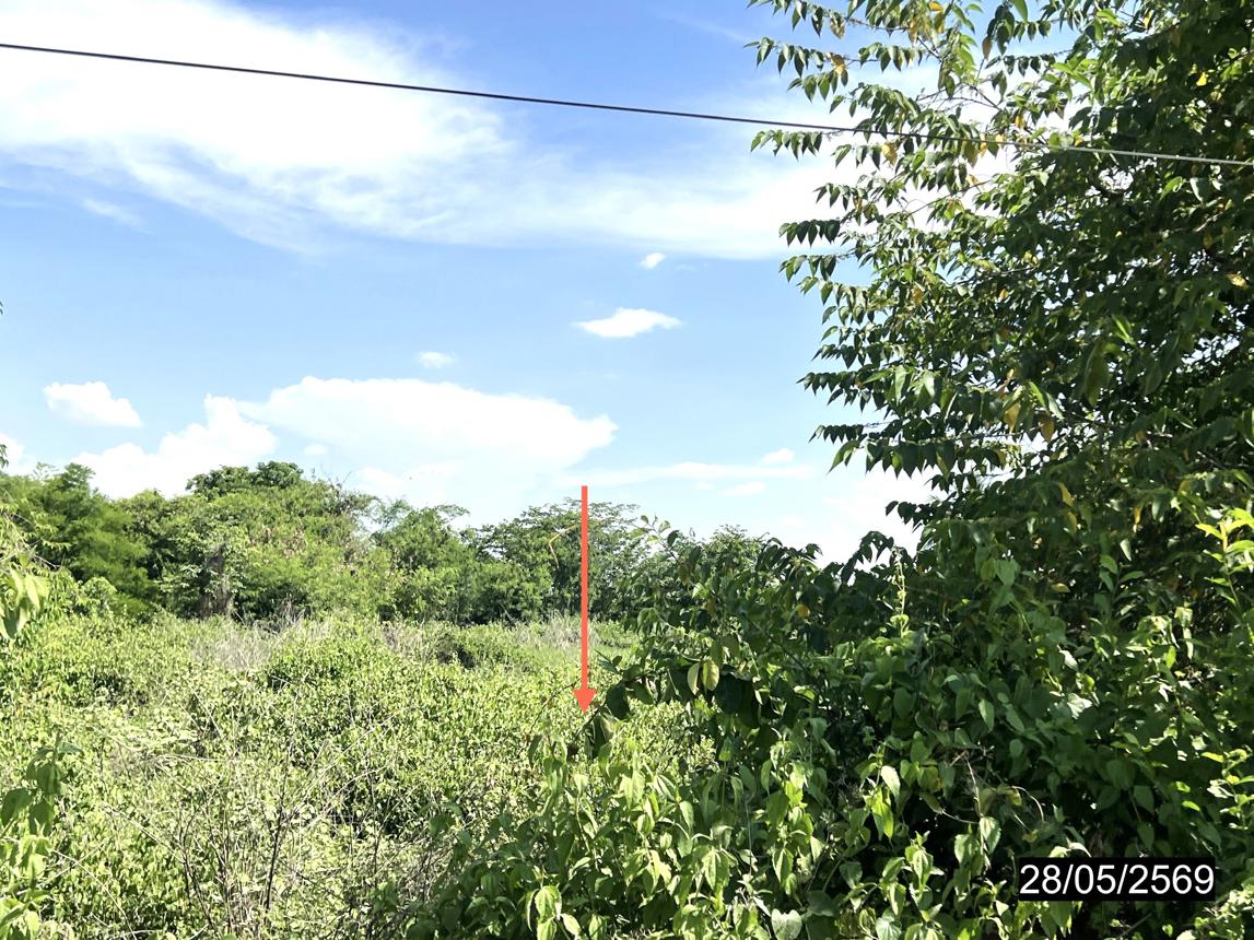 รูป ที่ดินว่างเปล่า 1085 ตร.วา ห้วยเม็ก กาฬสินธุ์ 3.6M - รูปที่ 11/17