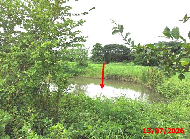 รูป อาคารโรงงาน 17123 ตร.วา เมืองลำปาง ลำปาง 43.3M - รูปที่ 29/65