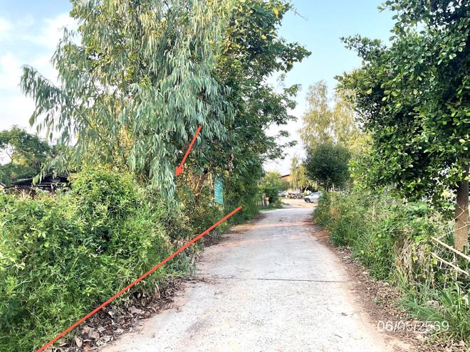 picture LAND 985 Sq.w. Khuang Nai Ubon Ratchathani for 1.4M - 5/25