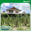 listing thumbnail image 32