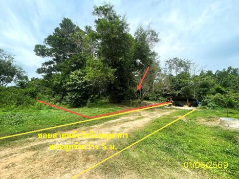 picture LAND 358.5 Sq.w. Hat Yai Songkhla for 2.1M - 22/25