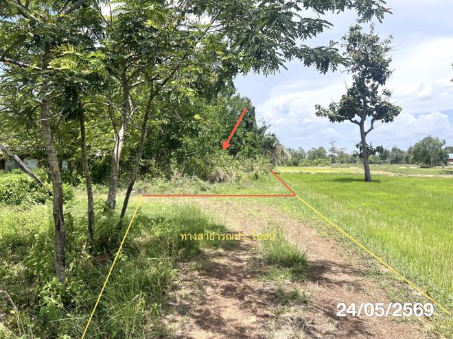 รูป บ้านเดี่ยว 10506.7 ตร.วา เดชอุดม อุบลราชธานี 2.3M - รูปที่ 11/27