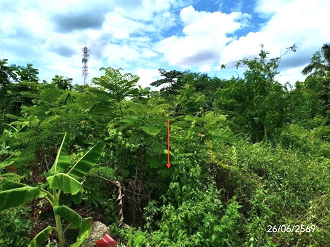 picture LAND 349.3 Sq.w. Dok Kham Tai Phayao for 1.2M - 6/21