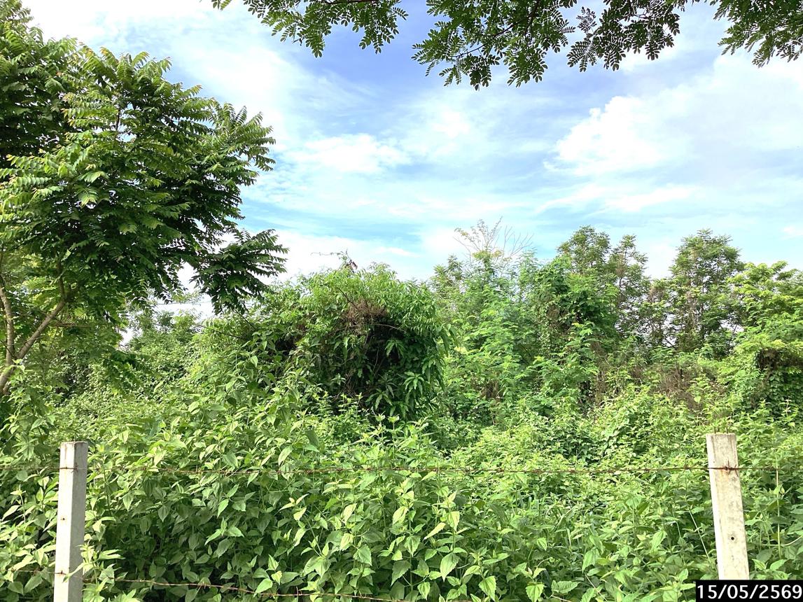 รูป ที่ดินว่างเปล่า 1124.3 ตร.วา เมืองสกลนคร สกลนคร 1.4M - รูปที่ 18/23