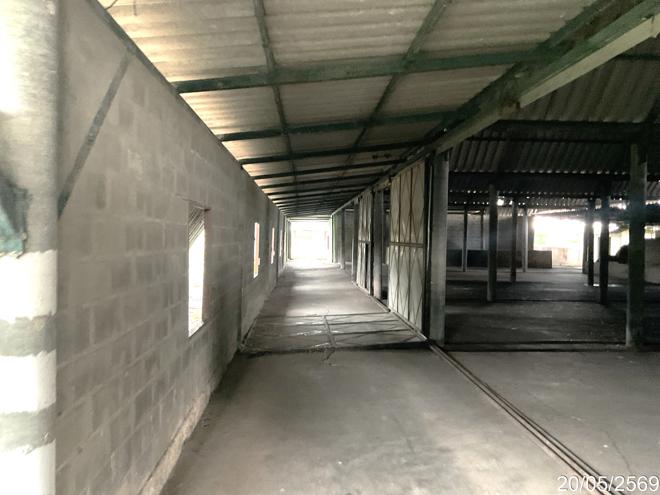picture HOME 2426 Sq.w. Sawaeng Ha Angthong for 3.4M - 12/39