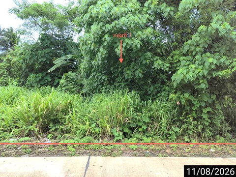 LAND 408.8 Sq.w. Muang Chumphon Chumphon for 2.8M