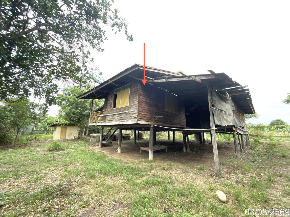 picture HOME 765 Sq.w. Noen Kham Chainat for 524,000 - 13/25