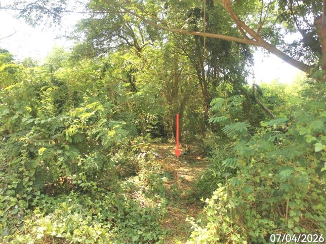 รูป ที่ดินว่างเปล่า 1603 ตร.วา ป่าโมก อ่างทอง 1.7M - รูปที่ 5/13