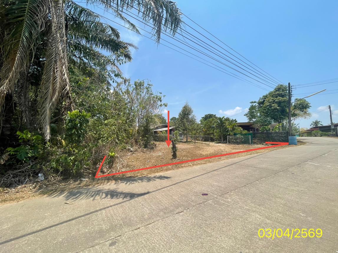 รูป ที่ดินว่างเปล่า 115 ตร.วา กันตัง ตรัง 751,000 - รูปที่ 12/21