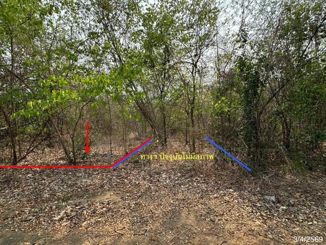 picture LAND 690 Sq.w. Muang Phetchabun Phetchabun for 714,000 - 4/21