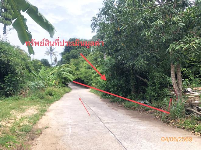 picture LAND 1519 Sq.w. Ko Samui Surat Thani for 14M - 2/15