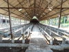 listing thumbnail image 47