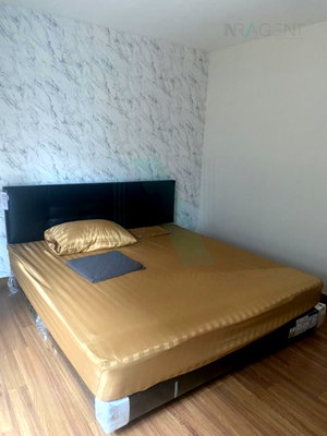 Condos for rent : For Rent Condo PG 2 RAMA IX Building 1, Floor 2,1 bed room, Room size 31.00 sqm