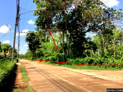ที่ดิน สกลนคร : ที่ดินว่างเปล่า 1815 ตร.วา กุสุมาลย์ สกลนคร 1.8M