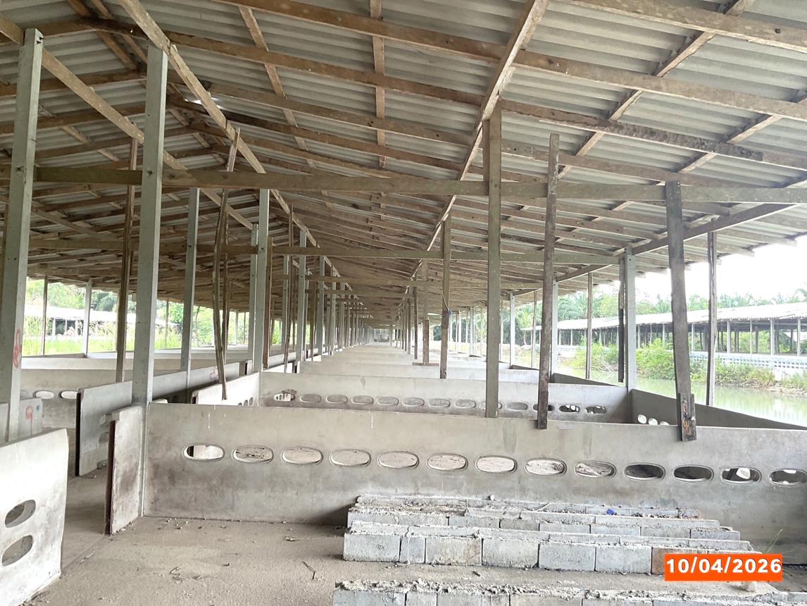 รูป ฟาร์ม 3649 ตร.วา เฉลิมพระเกียรติ นครศรีธรรมราช 8.1M - รูปที่ 25/37