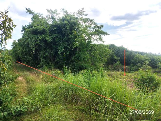 รูป ที่ดินว่างเปล่า 2402 ตร.วา ภูซาง พะเยา 730,000 - รูปที่ 5/21