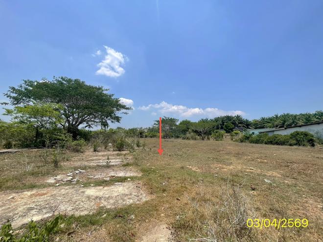 picture LAND 179.2 Sq.w. Kantrang Trang for 1.5M - 6/25