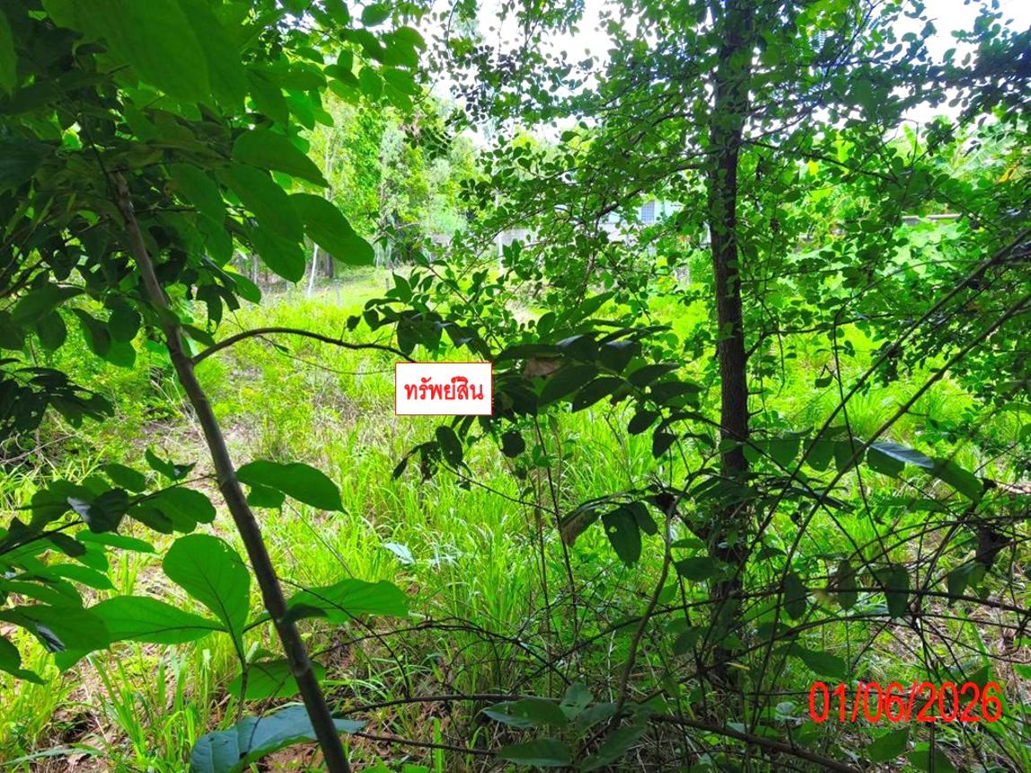 รูป ที่ดินว่างเปล่า 225 ตร.วา เถิน ลำปาง 199,000 - รูปที่ 11/15