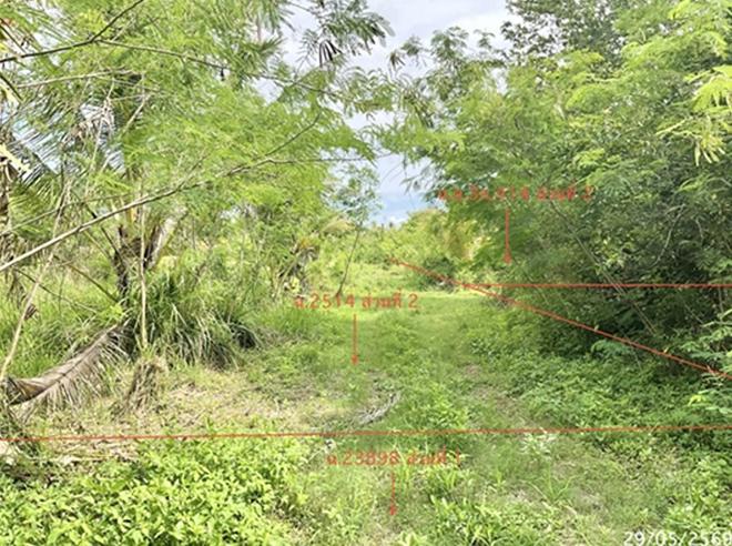 รูป ที่ดินว่างเปล่า 8152 ตร.วา บางสะพาน ประจวบคีรีขันธ์ 13.9M - รูปที่ 7/23