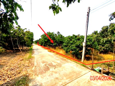 ที่ดิน เวียงหนองล่อง ลำพูน : ที่ดินว่างเปล่า 1038 ตร.วา เวียงหนองล่อง ลำพูน 1.2M