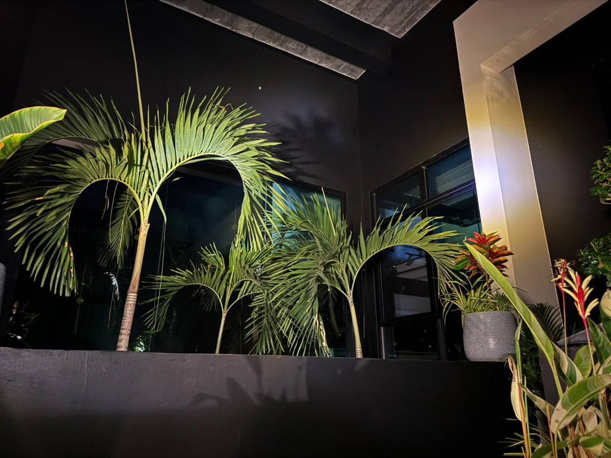 รูป ขายบ้านเดี่ยวพร้อมที่ดินและสวนร่มรื่น บรรยากาศเงียบสงบ น่าอยู่ - รูปที่ 10/49