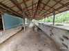 listing thumbnail image 38