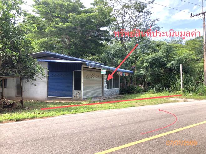 รูป บ้านเดี่ยว 110 ตร.วา พุนพิน สุราษฎร์ธานี 1.3M - รูปที่ 4/31