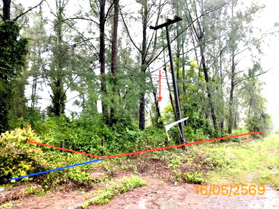 Land for sale Phangnga : LAND 10953.7 Sq.w. Takua Pa Phangnga for 76.7M