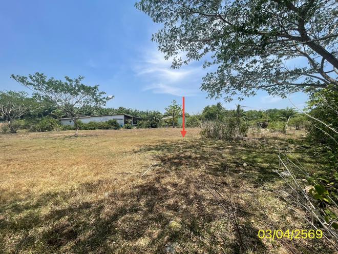 picture LAND 179.2 Sq.w. Kantrang Trang for 1.5M - 9/25