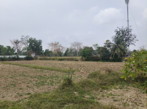 รูป ที่ดินว่างเปล่า 1817 ตร.วา โครงการ ชุมชนบ้านตะโนน สุรินทร์ ศรีณรงค์ สุรินทร์ 2.6M - รูปที่ 7/8