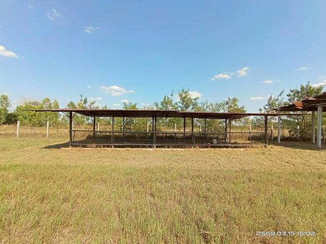 รูป โกดัง 12659 ตร.วา พยัคฆภูมิพิสัย มหาสารคาม 5.4M - รูปที่ 19/51