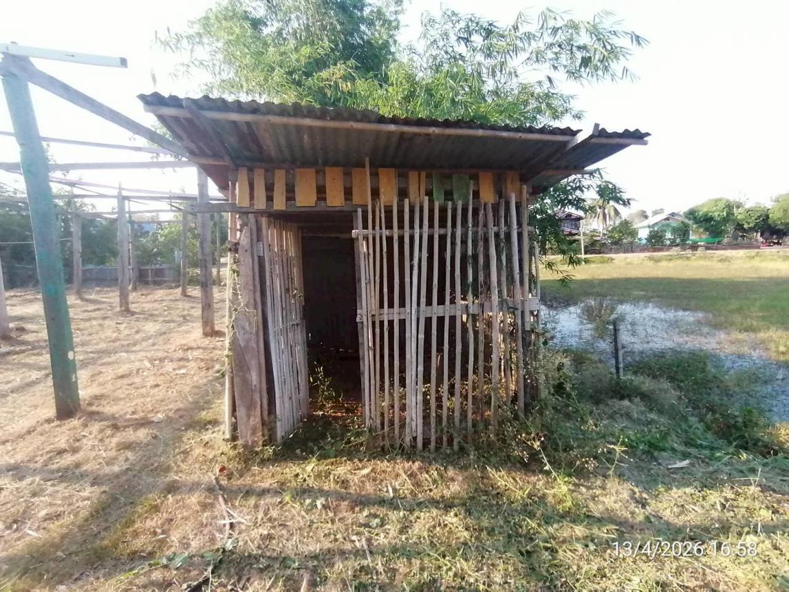 รูป บ้านเดี่ยว 1223 ตร.วา จัตุรัส ชัยภูมิ 1.5M - รูปที่ 32/57