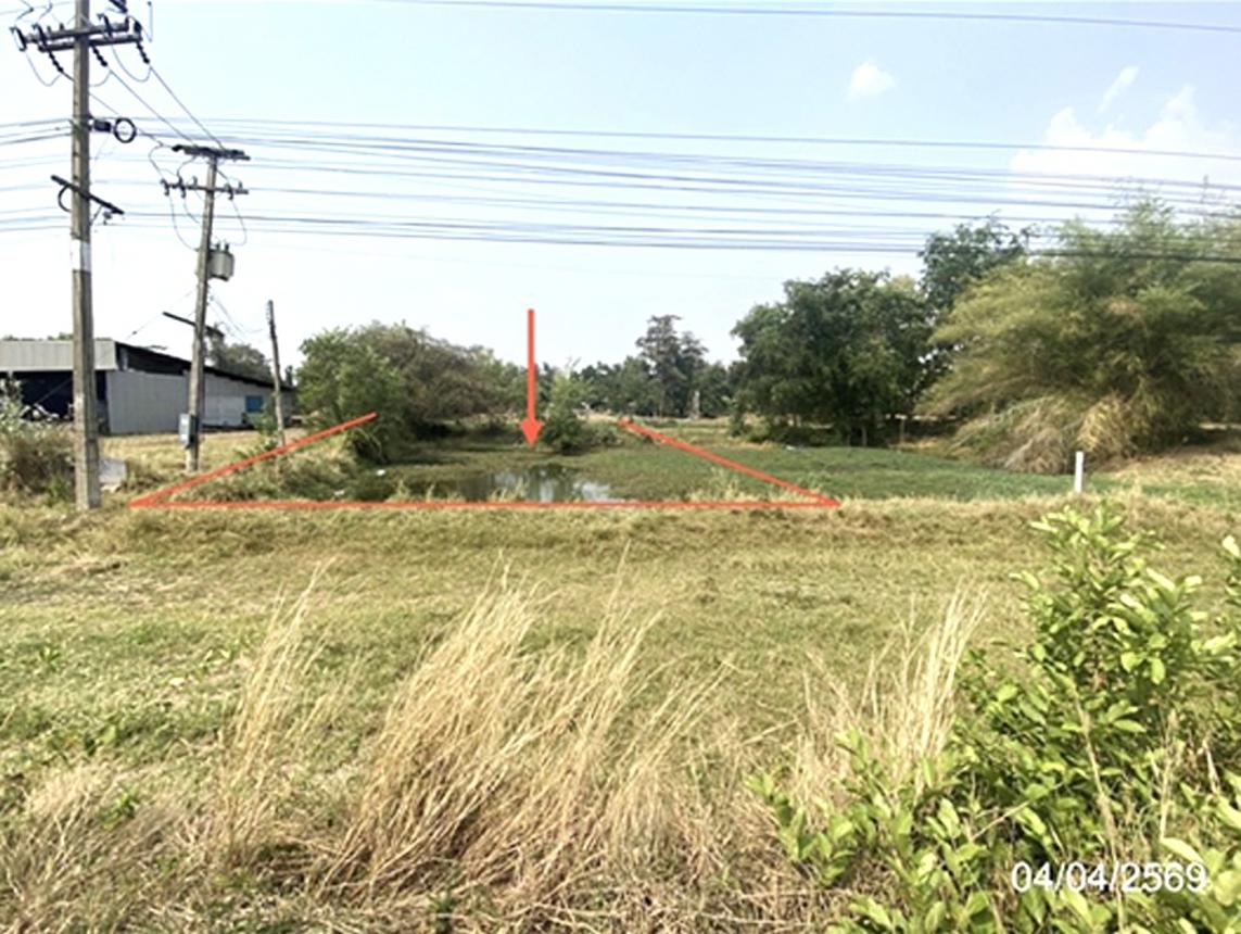 picture LAND 1591 Sq.w. Muang Roi Et Roi Et for 7.2M - 12/21