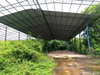 listing thumbnail image 25