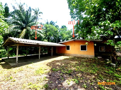 บ้านเดี่ยว เวียงสระ สุราษฎร์ธานี : บ้านเดี่ยว 224.4 ตร.วา เวียงสระ สุราษฎร์ธานี 656,000