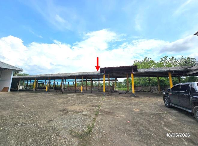 picture FACTORY 1701.4 Sq.w. Tha Wang Pha Nan for 11.3M - 5/39
