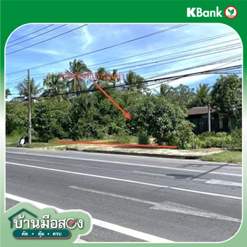 picture LAND 727.8 Sq.w. Rattaphum Songkhla for 8M - 19/21