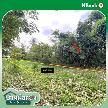 รูป ที่ดินว่างเปล่า 179 ตร.วา ส่องดาว สกลนคร 286,000 - รูปที่ 17/19