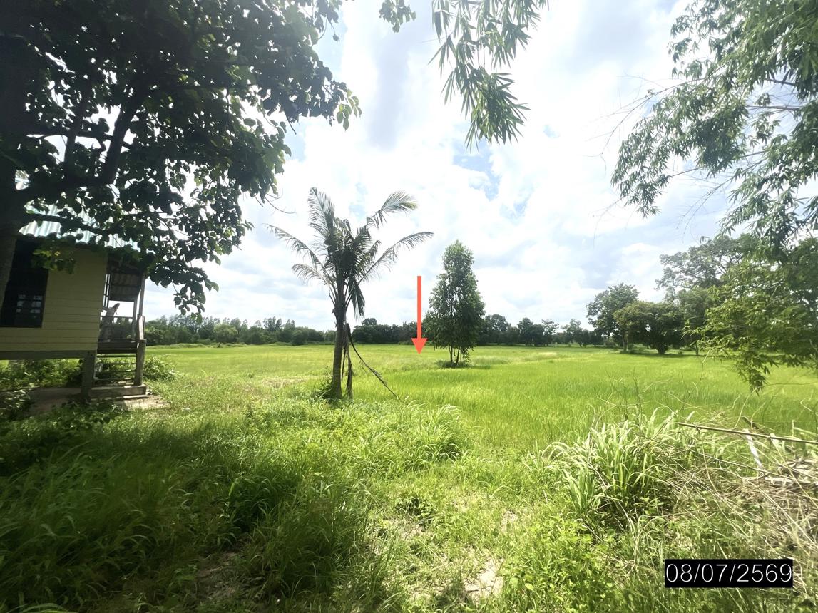 picture HOME 2538.4 Sq.w. Samrong Ubon Ratchathani for 1.8M - 21/25