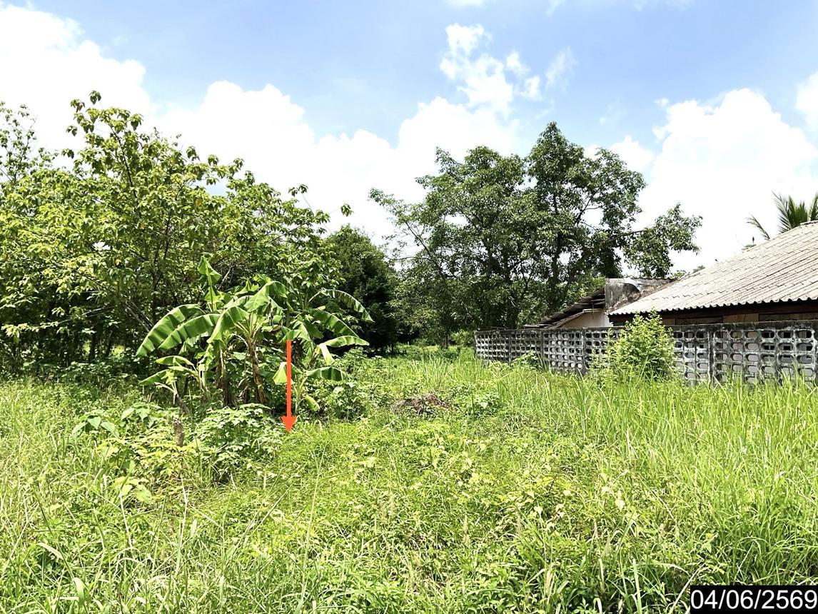 รูป ที่ดินว่างเปล่า 1458 ตร.วา เมืองบึงกาฬ บึงกาฬ 5.4M - รูปที่ 11/19