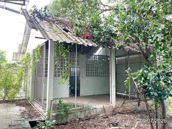 รูป อาคารโรงงาน 1512 ตร.วา สามเงา ตาก 5.5M - รูปที่ 12/29