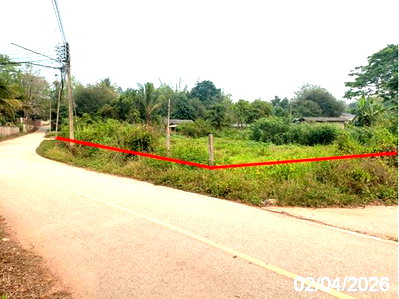 Land for sale Fang Chiang Mai  : LAND 426.4 Sq.w. Fang Chiang Mai for 955,000