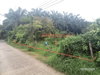 listing thumbnail image 13