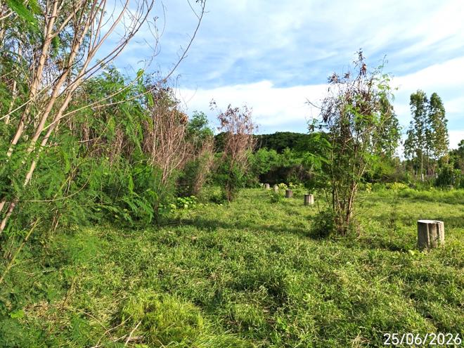picture LAND 2176.6 Sq.w. Aranyaprathet Srakaeo for 6.1M - 6/19